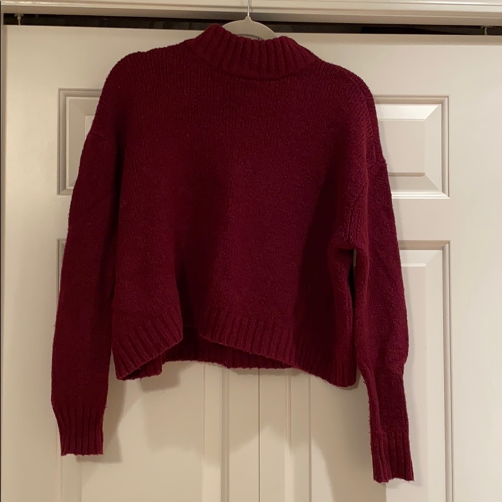 American Eagle Cropped Turtleneck